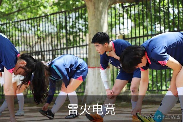 雷火电竞公司简介图片